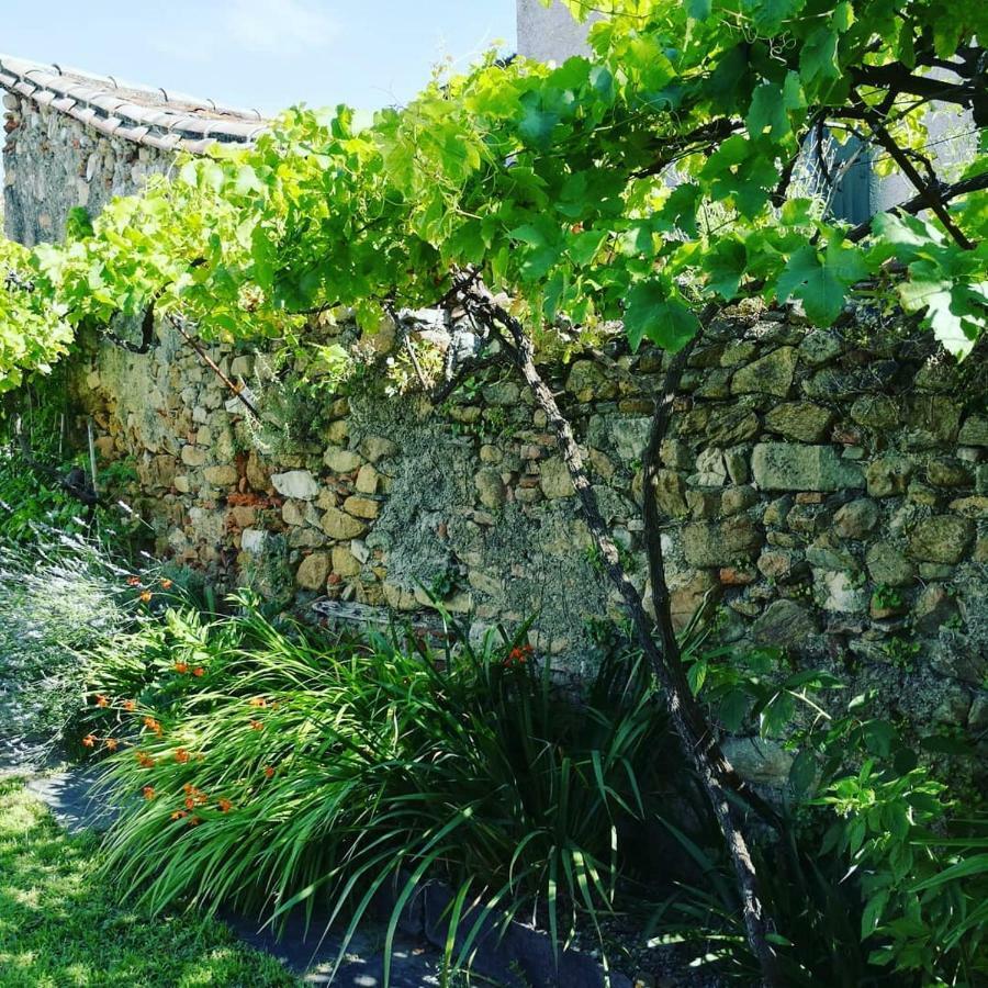 Gite Maison De L'Abbe Sorèze Exterior foto