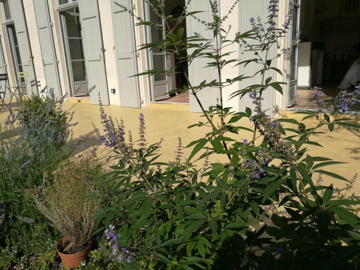 Gite Maison De L'Abbe Sorèze Exterior foto